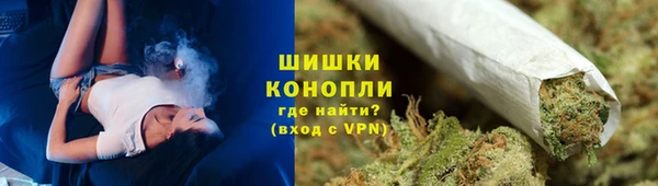 PSILOCYBIN Нягань