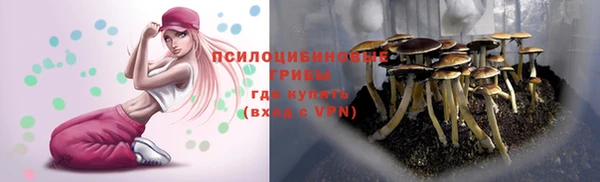 PSILOCYBIN Нягань