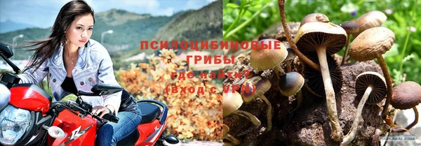 а пвп мука Няндома
