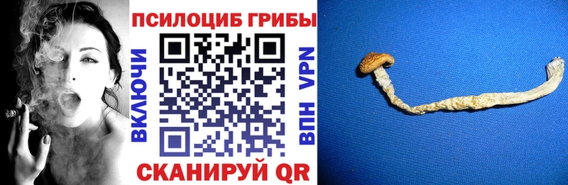 Псилоцибиновые грибы прущие грибы  OMG сайт  Саки  что такое  