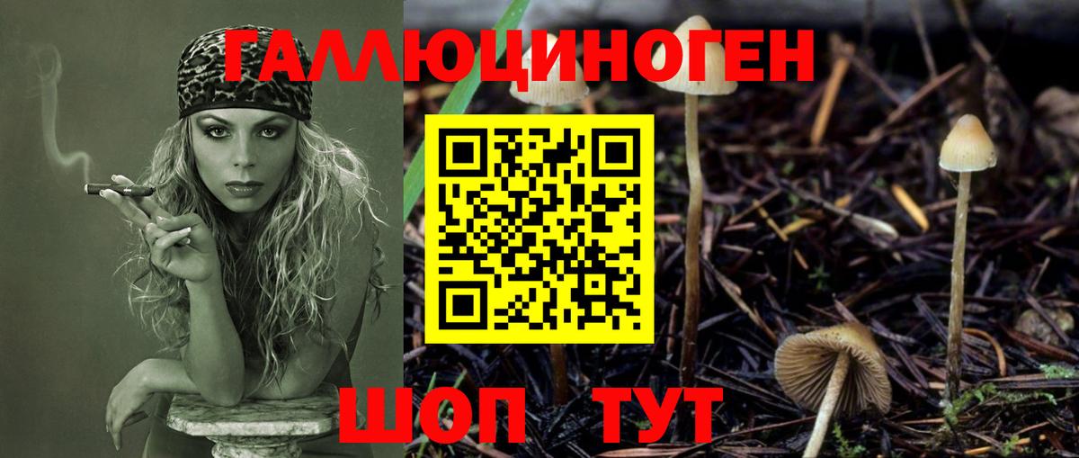 Бошки Шишки Саки