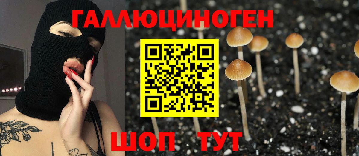 Псилоцибиновые грибы ЛСД  Вход с VPN  Галлюциногенные грибы GOLDEN TEACHER  Саки 